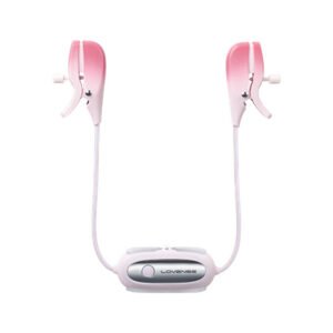 Lovense Gemini review – product photo